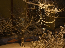 snow outside my window at night
