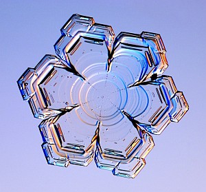 ice crystal